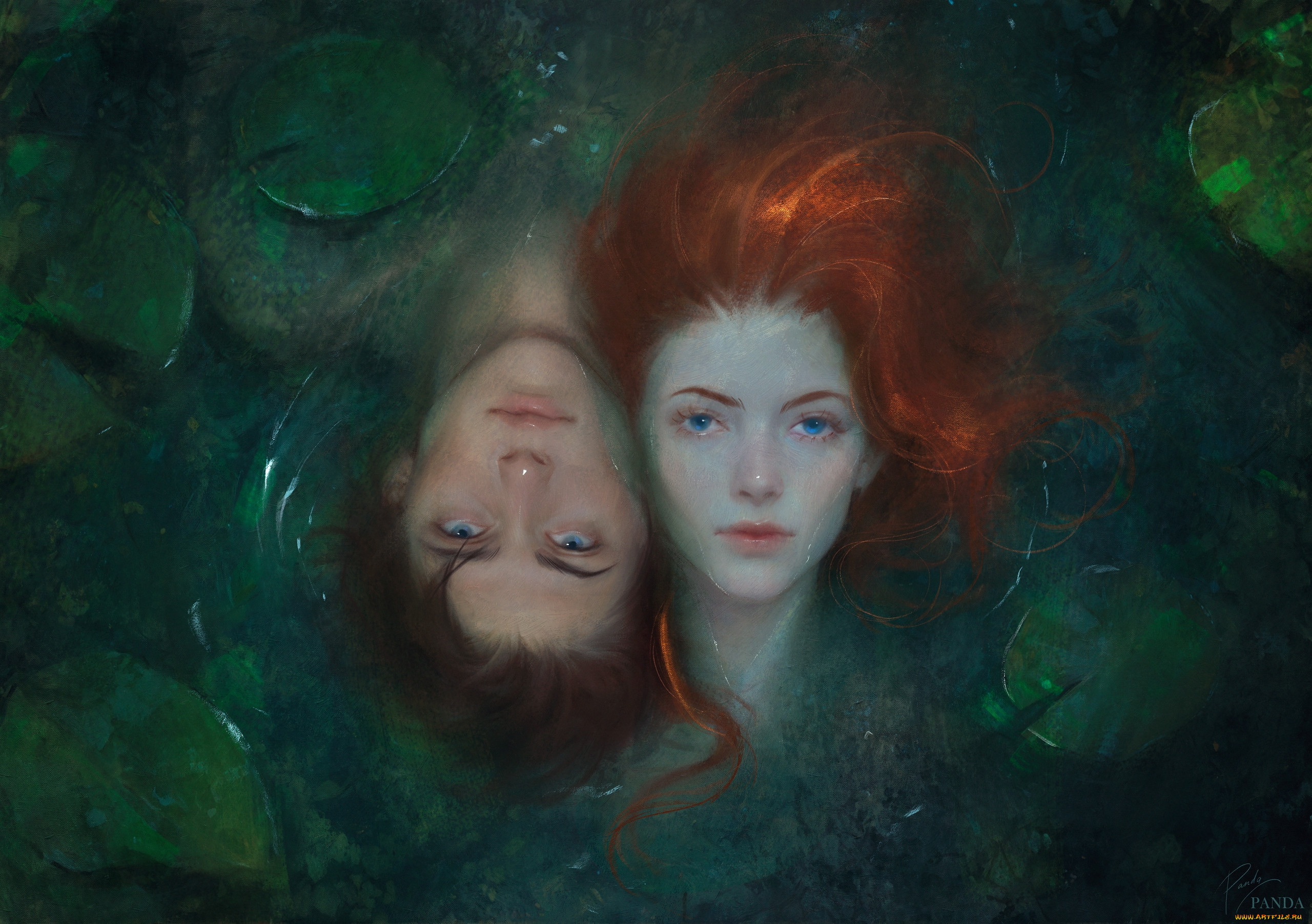 ����������, ����, ����